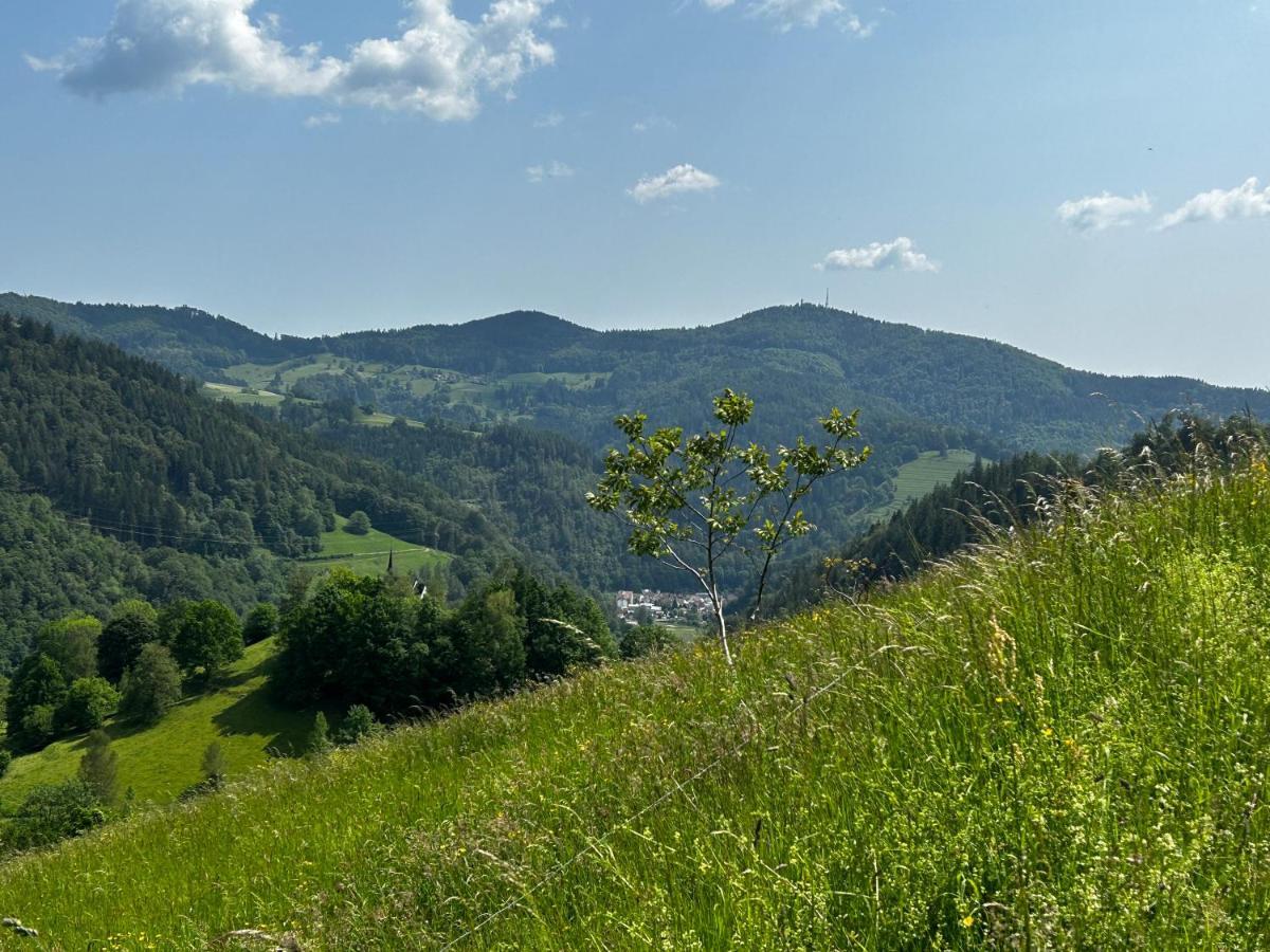 Cella Apartments **** Zell im Wiesenthal Extérieur photo
